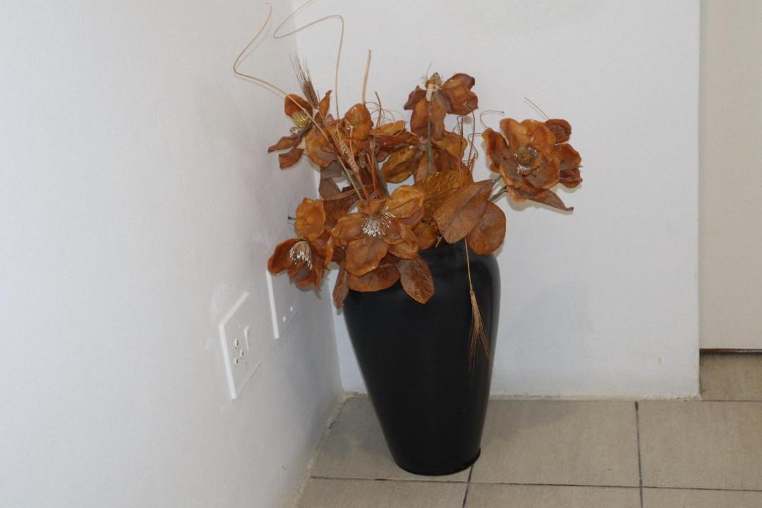 Coastwave Guest House Уолфиш Бей Екстериор снимка